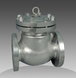 series 45 check valve